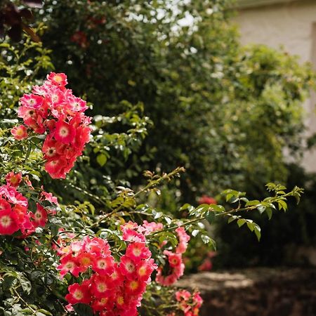 Stoodleigh Court Coach House Bed & Breakfast Tiverton  Ngoại thất bức ảnh