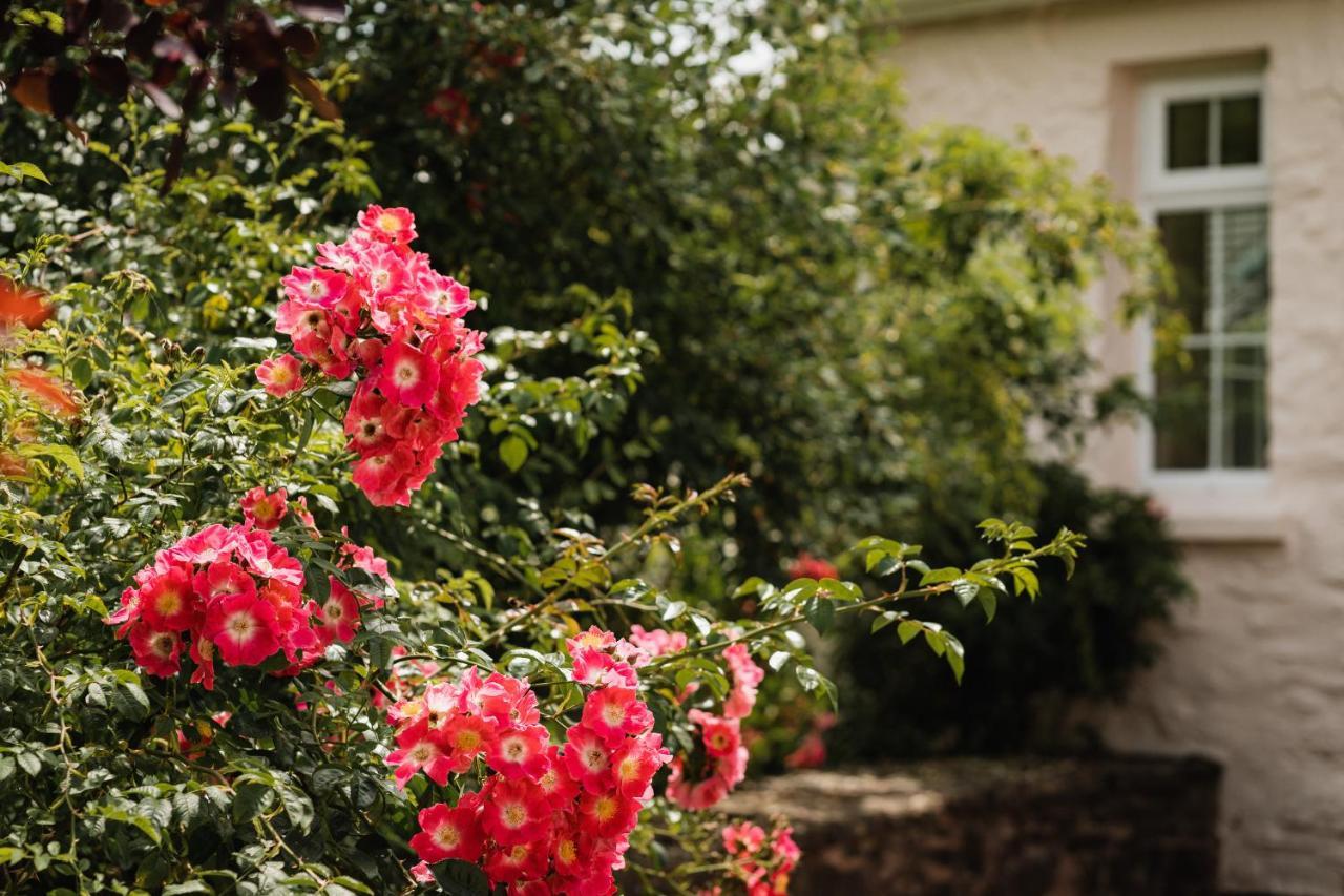 Stoodleigh Court Coach House Bed & Breakfast Tiverton  Ngoại thất bức ảnh